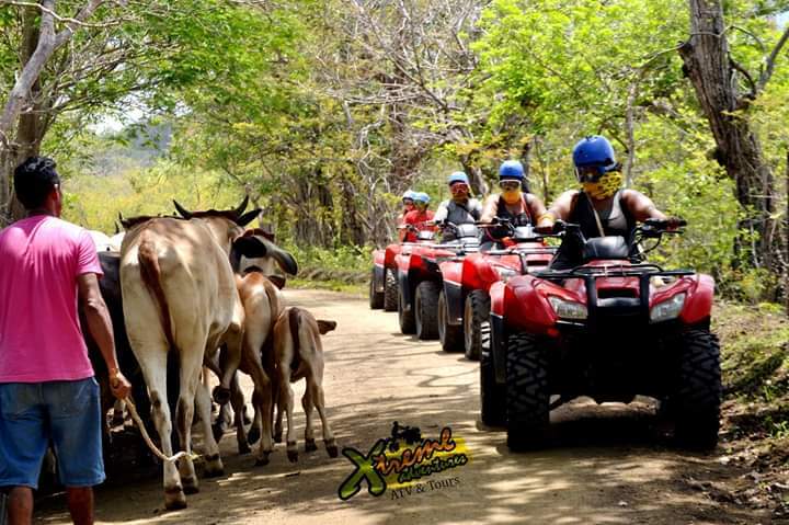 ATVs TOUR 4 Hours
